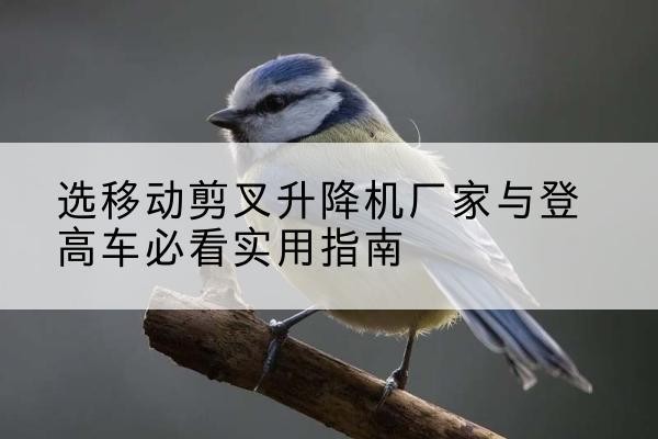 蔡甸电动升降机厂家-选移动剪叉升降机厂家与登高车必看实用指南