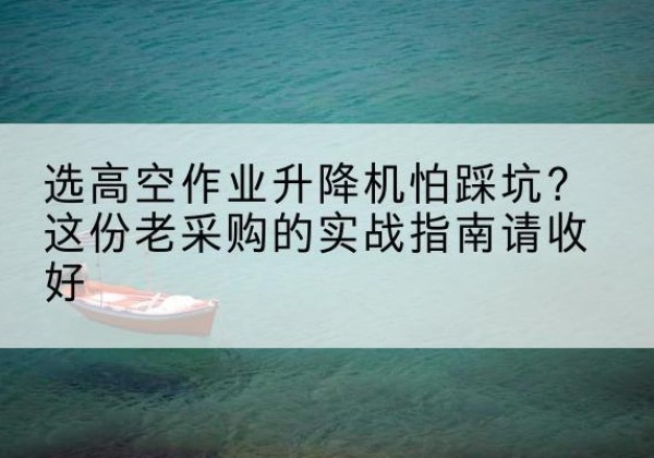 蔡甸高空作业升降机厂家推荐-选高空作业升降机怕踩坑？这份老采购的实战指南请收好