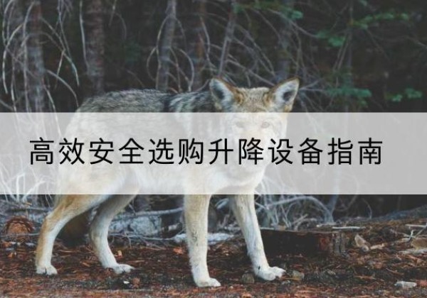 蔡甸升降货梯厂家推荐-*安全选购升降设备指南
