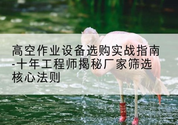蔡甸剪叉式升降机厂家-高空作业设备选购实战指南-十年工程师揭秘厂家筛选核心法则